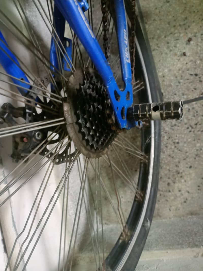 bicycle 2