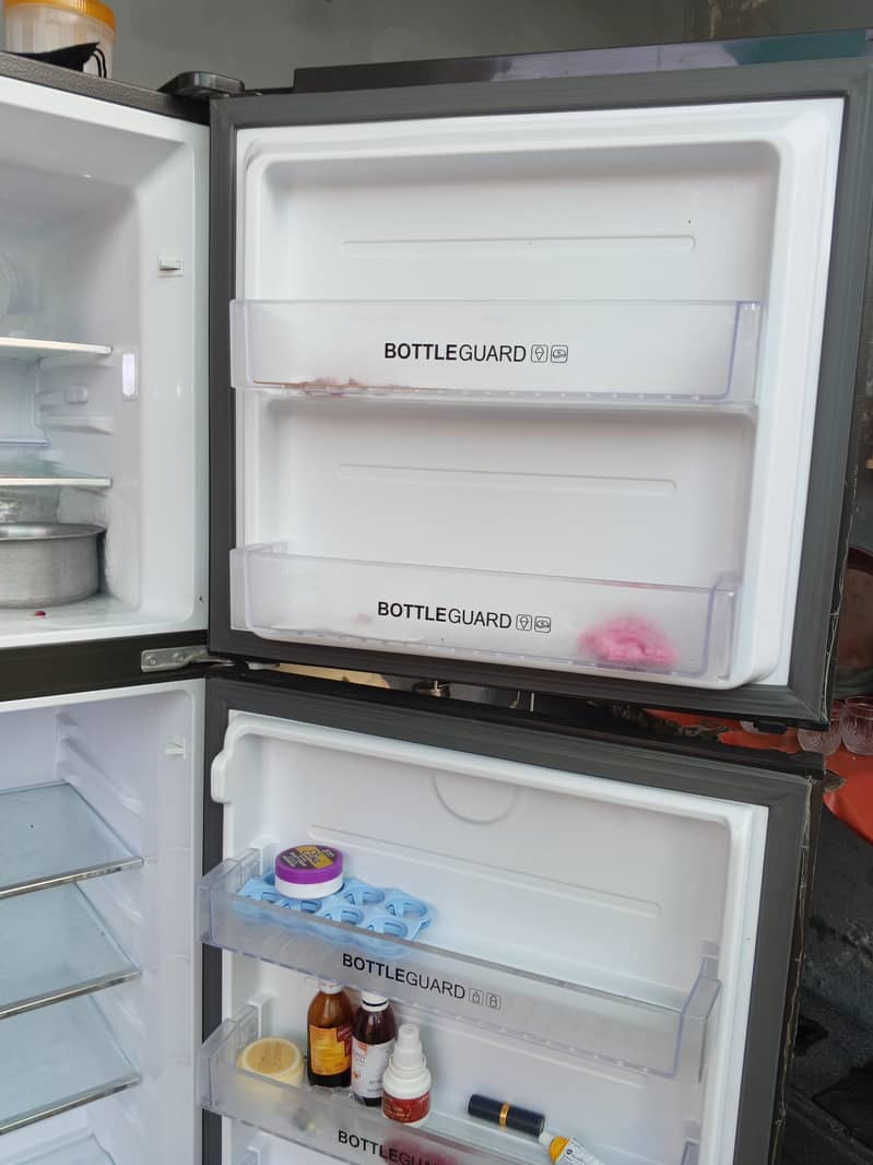 fridge 6