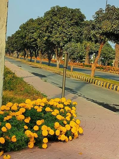 Centrally Located Prime Location Commercial Plot For sale In Muhafiz Town Available
