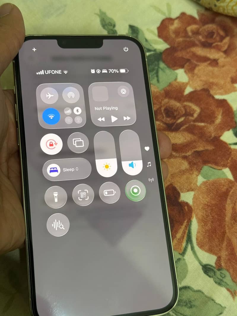 Apple iPhone 13 Pro Max 1
