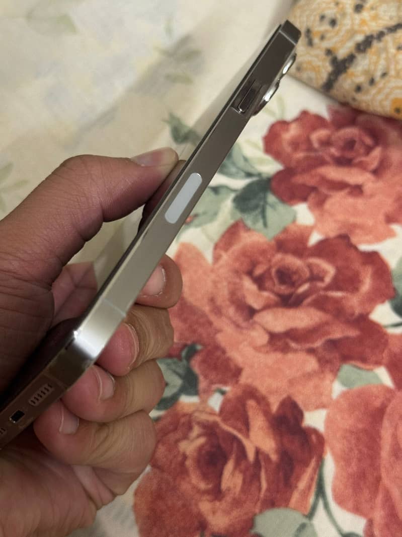 Apple iPhone 13 Pro Max 2