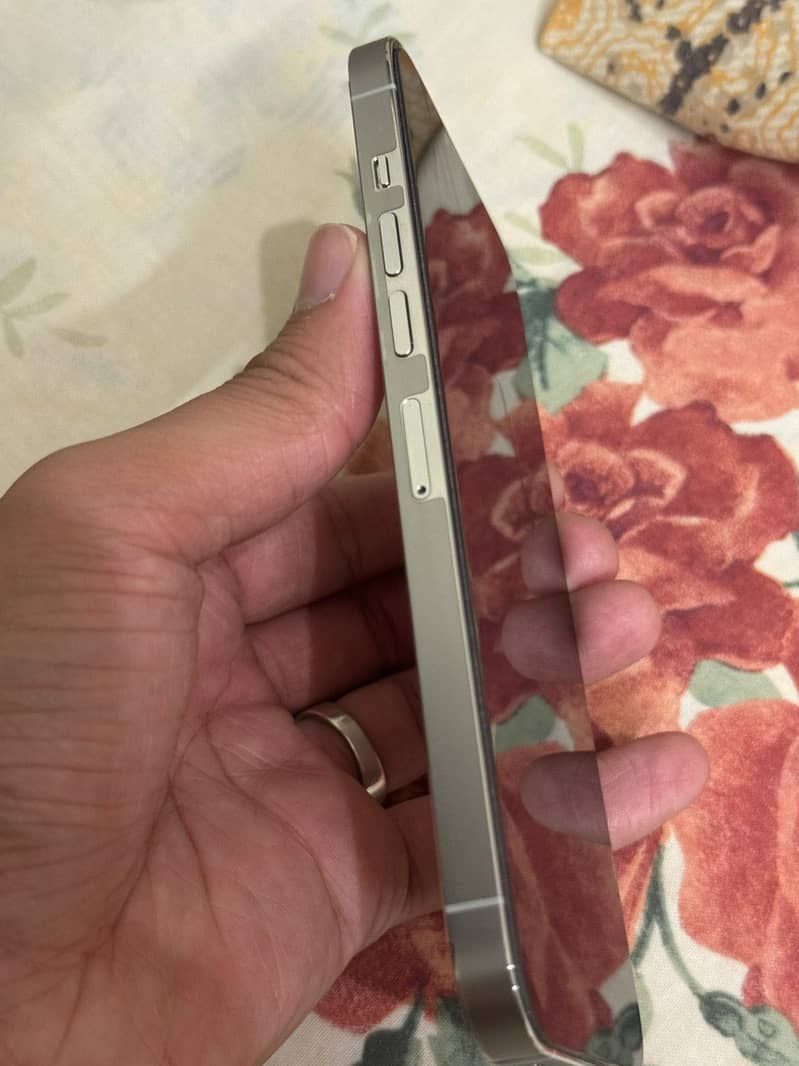 Apple iPhone 13 Pro Max 3