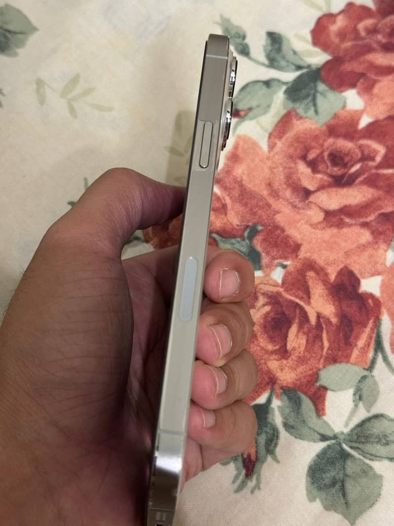 Apple iPhone 13 Pro Max 7
