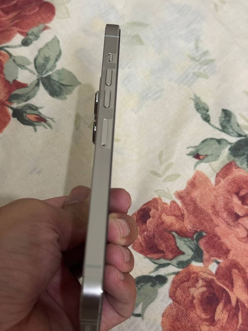 Apple iPhone 13 Pro Max 10