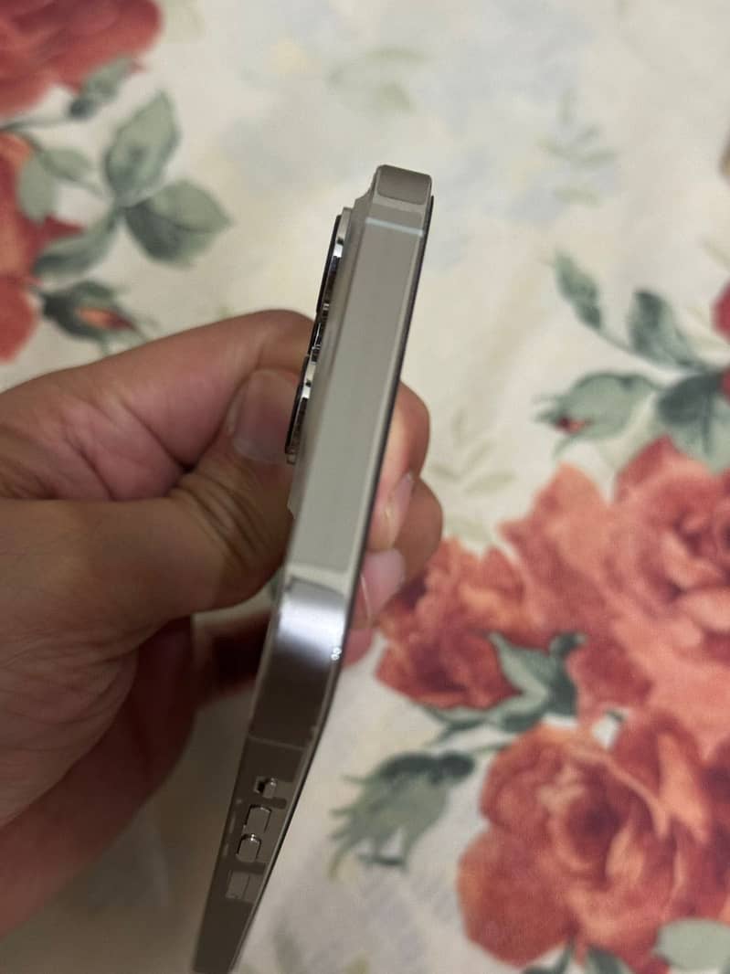 Apple iPhone 13 Pro Max 11