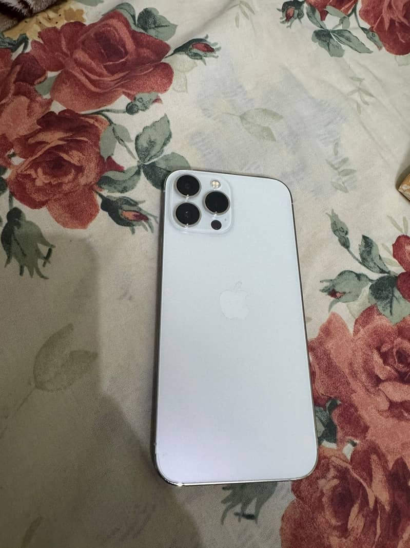 Apple iPhone 13 Pro Max 12
