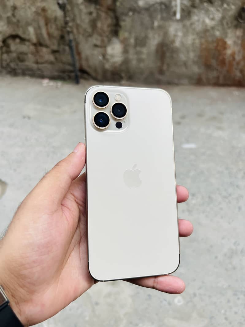 Apple iPhone 12 Pro Max 1
