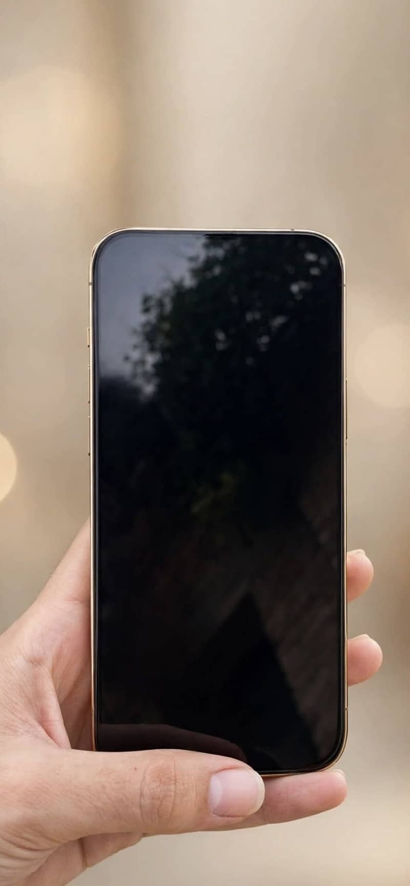 Apple iPhone 13 Pro Max 2