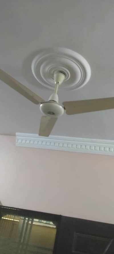 Pak fan