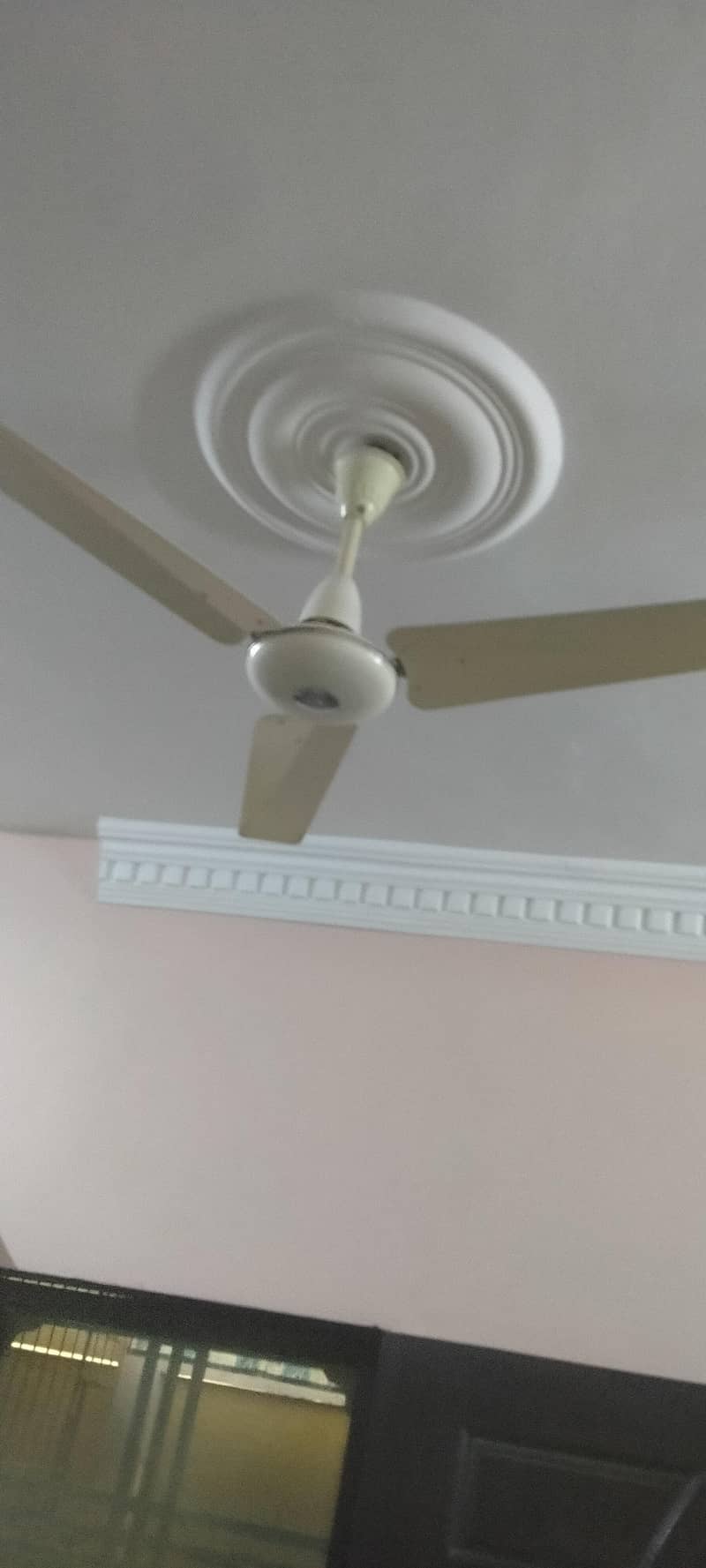 Pak fan 0