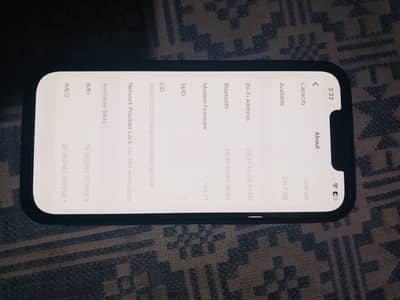 Apple iPhone 13