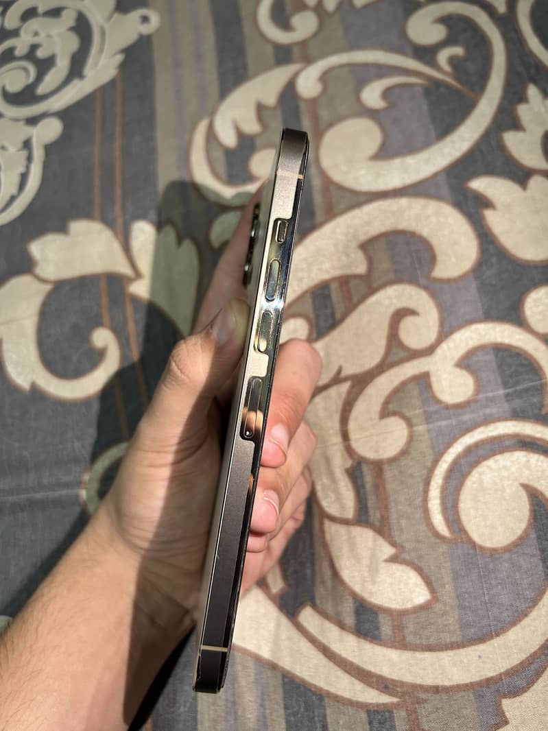 iPhone 13 Pro Max 1