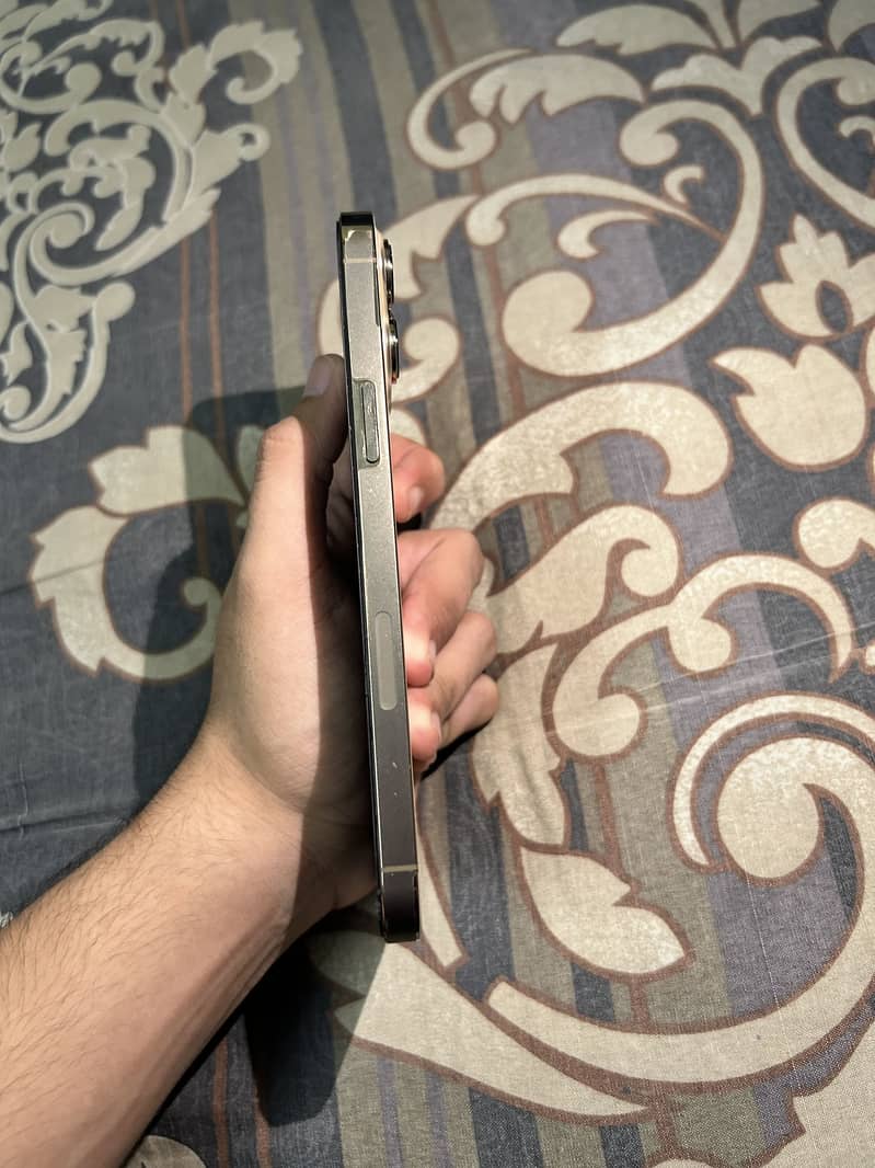iPhone 13 Pro Max 2