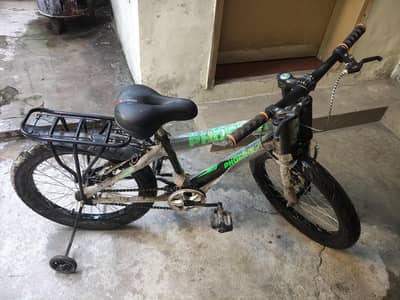 Phoenix new cycle