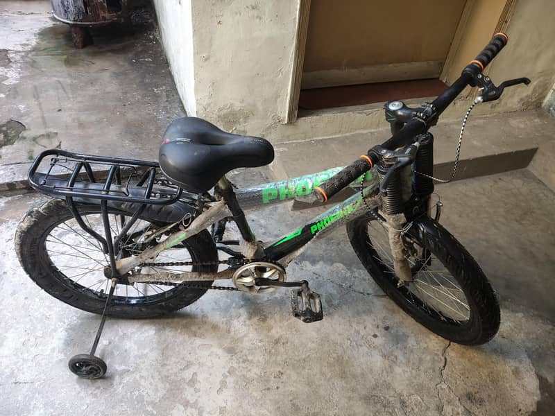 Phoenix new cycle 0