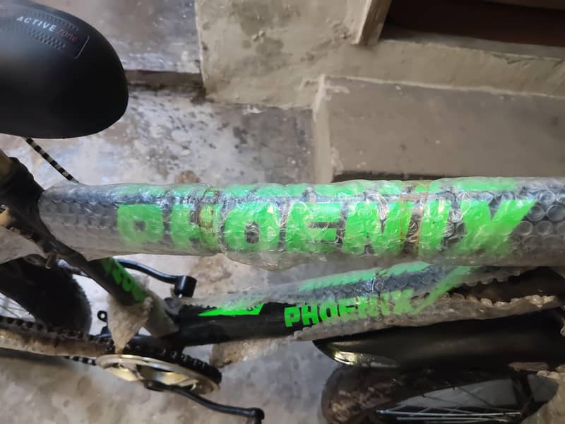 Phoenix new cycle 6