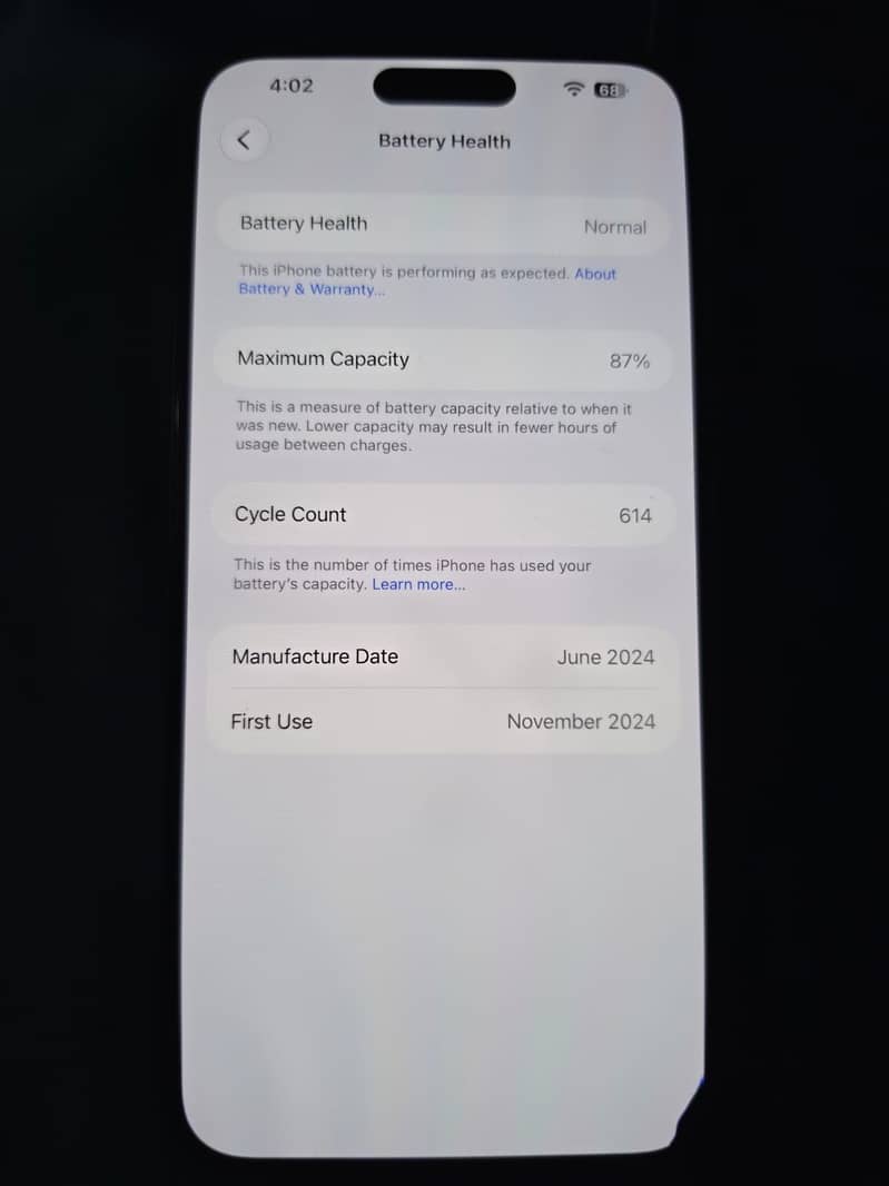 Apple iPhone 15 Pro Max 10