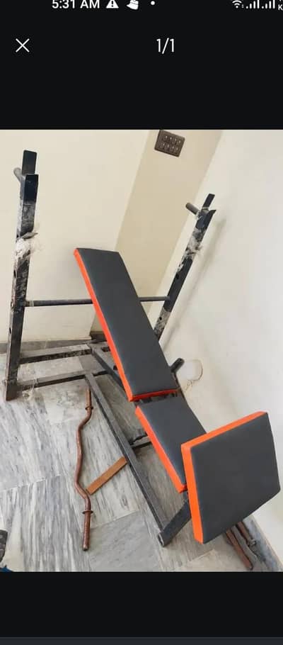 dumbbells ( 03122670327)