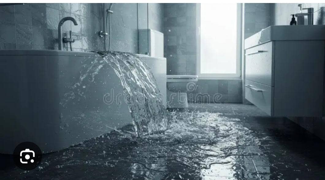 Drain cleaners 1