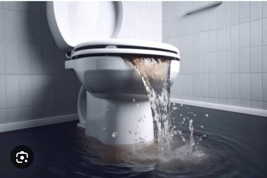 Drain cleaners 2