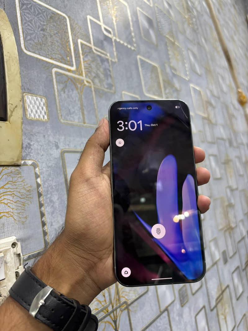 Google Pixel 9 Pro XL 1