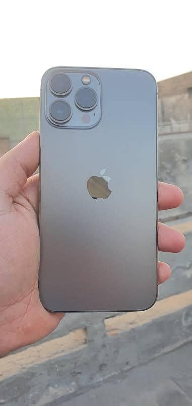 13 Pro Max 256GB