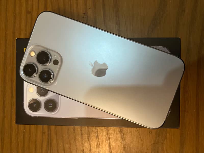Apple iPhone 13 Pro Max 1