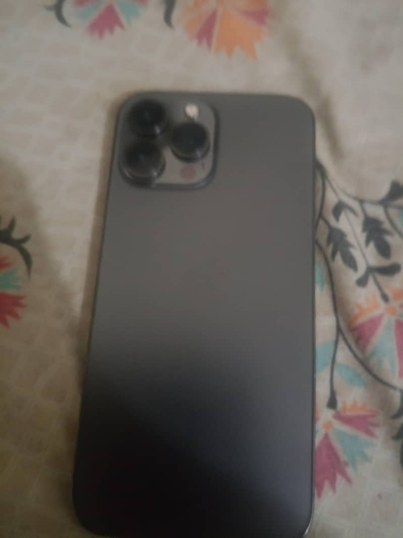 Apple iPhone 13 Pro Max 1