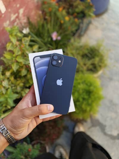 Iphone 12 with box nd airbuds