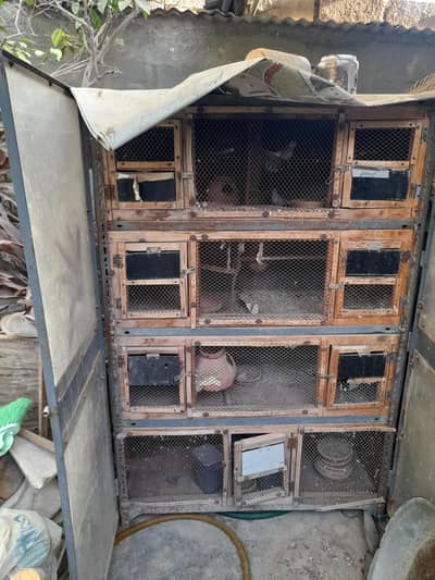 4 floor Bird cage available for sale