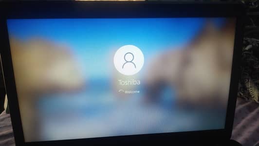 Toshiba Satellite C655