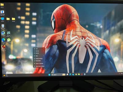 Dell 24 inches LCD