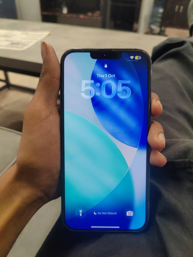 Apple iPhone 13 Pro Max 1