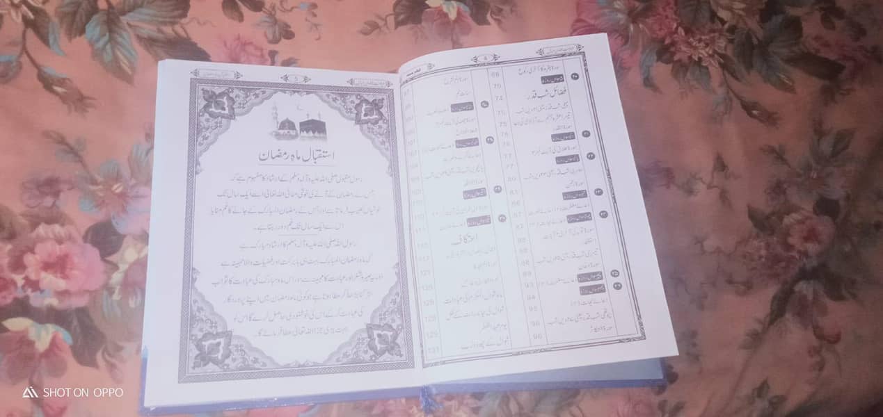 arabic and Urdu 2