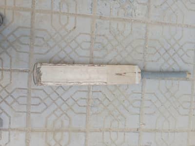 Cricket bat hard ball Kasmir willow