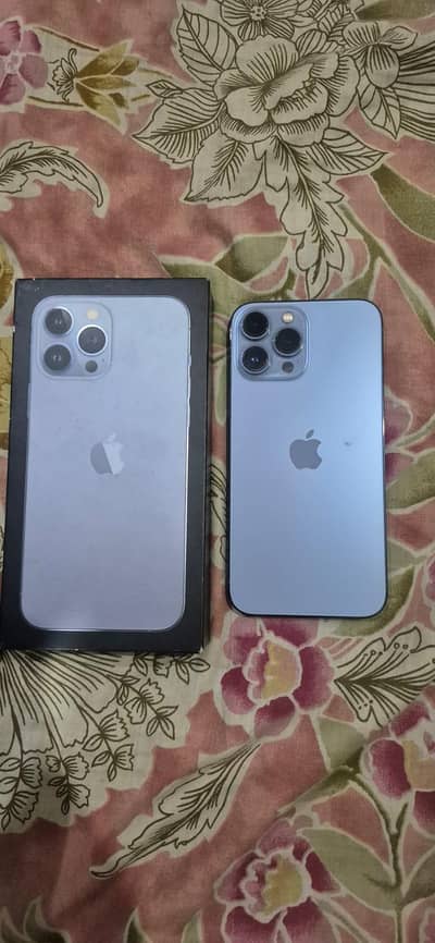 Apple iPhone 13 Pro Max 10 by 10 water pack