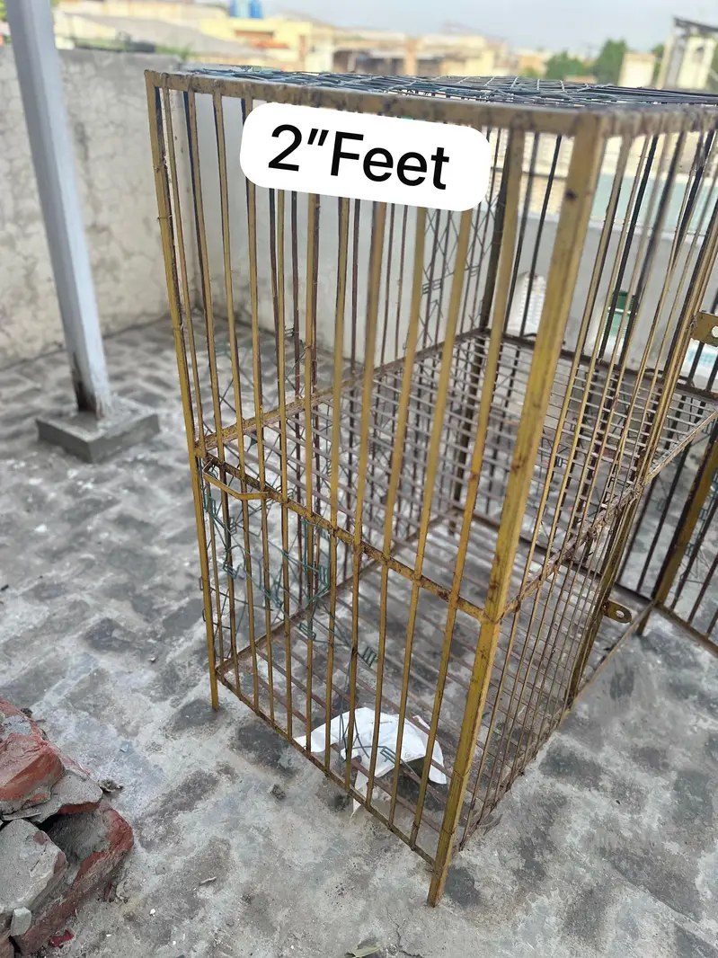 Iron Cage For Sale/hen cage /pinjaraa /aseel cage/0331+66+70700 — photo 2