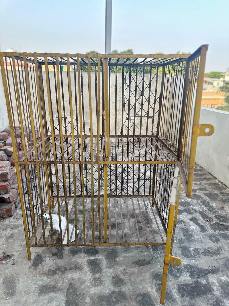 Iron Cage For Sale/hen cage /pinjaraa /aseel cage/0331+66+70700 — photo 4