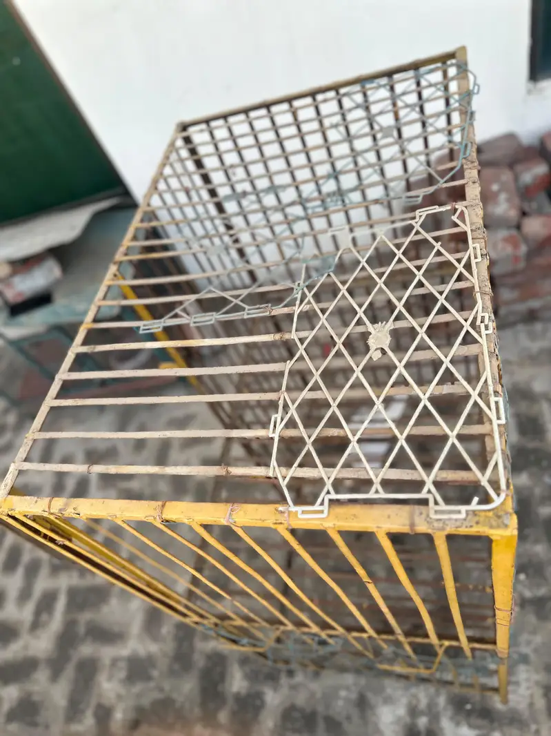 Iron Cage For Sale/hen cage /pinjaraa /aseel cage/0331+66+70700 — photo 6