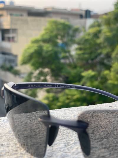 Serengeti lupton sunglasses