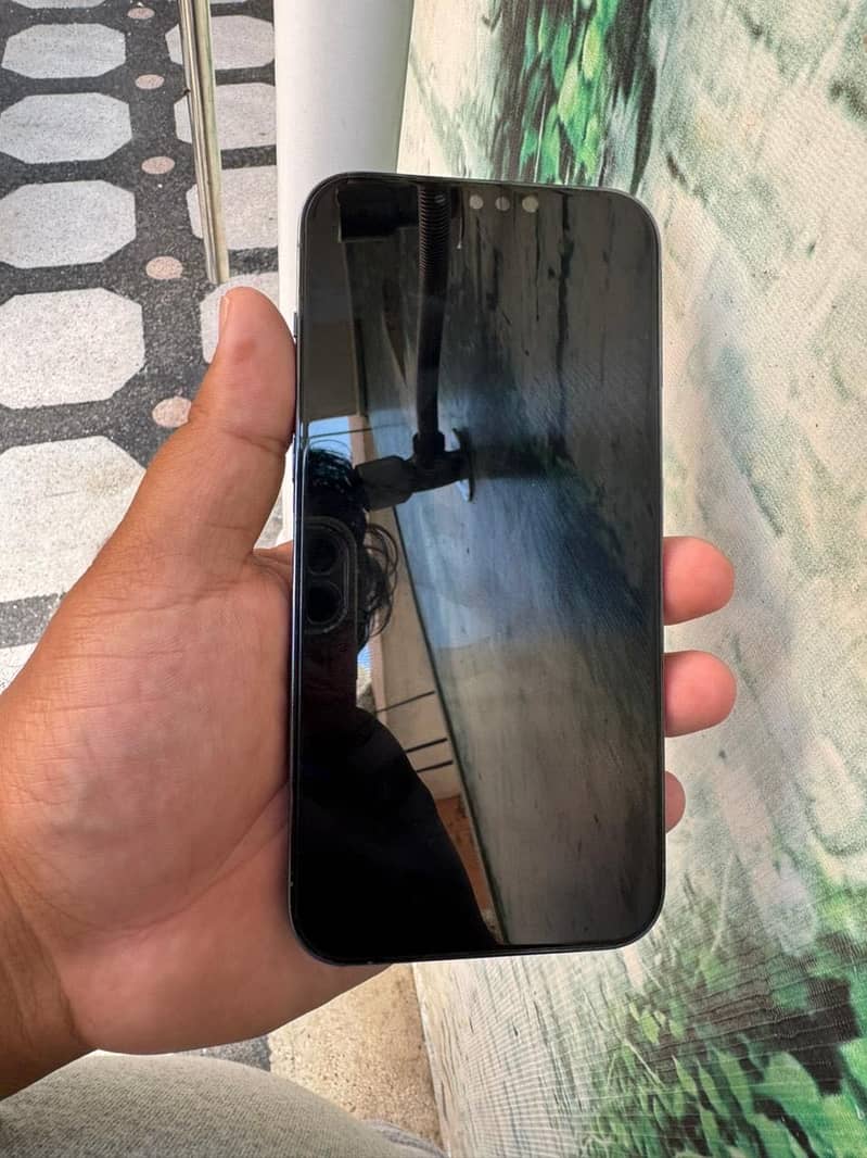 Apple iPhone 13 Pro Max 1