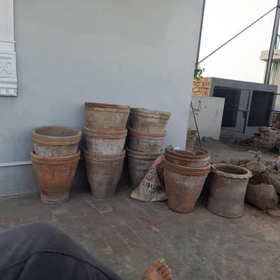 10 plant Pots