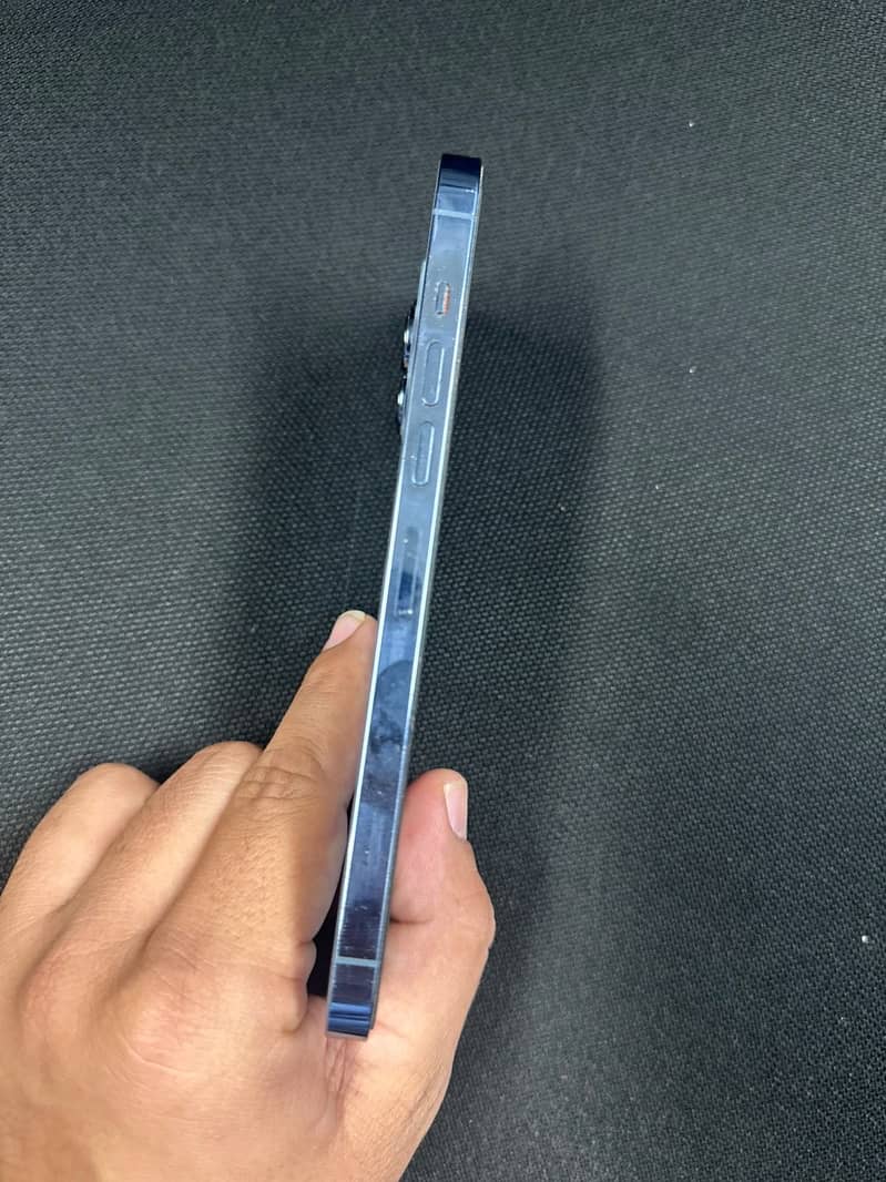 Apple iPhone 13 Pro Max 1