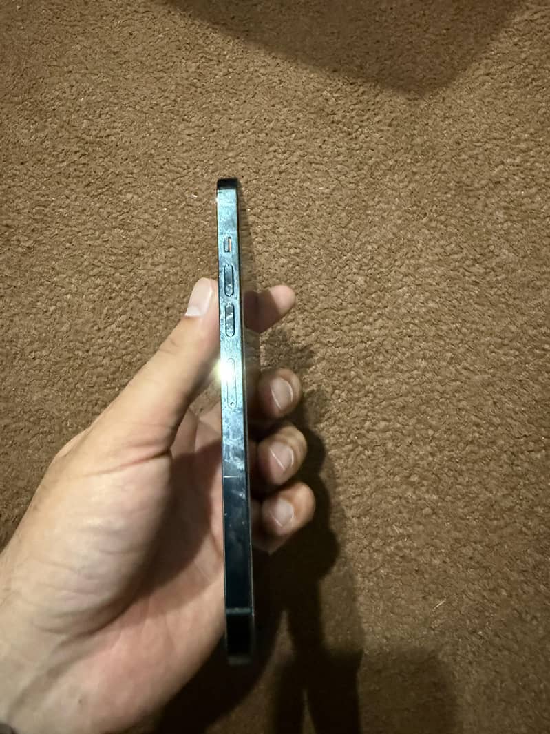Apple iPhone 13 Pro Max 1