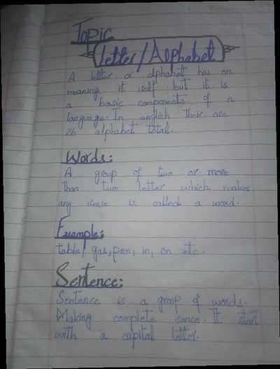 neat hand written AIOU assignment written per page 50 or 100