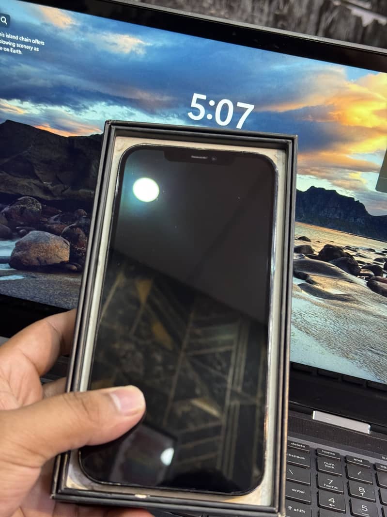 Apple iPhone 12 Pro Max 1