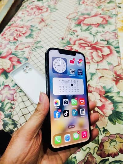 Apple iPhone 12 Pro Max 256GB Dual PTA