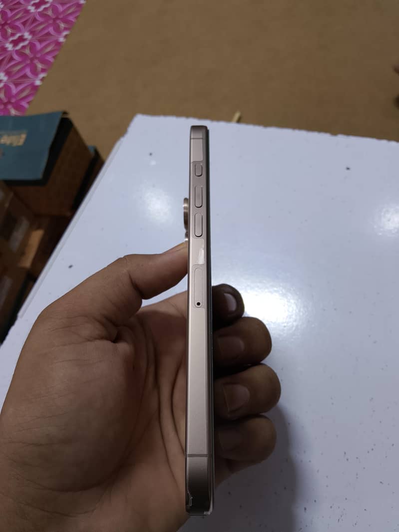 Apple iPhone 16 Pro Max 1