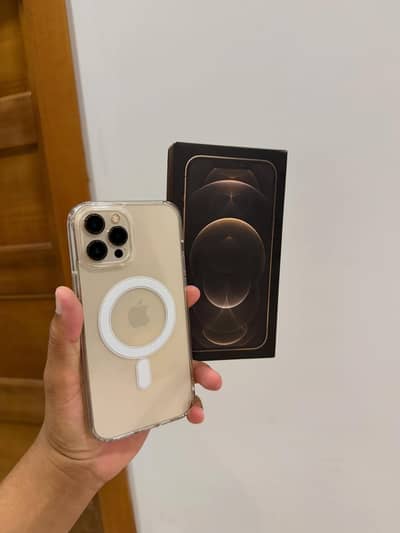 iphone 12 pro max HK 256