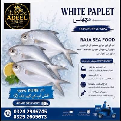 Adeel Fresh Fish